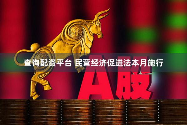 查询配资平台 民营经济促进法本月施行