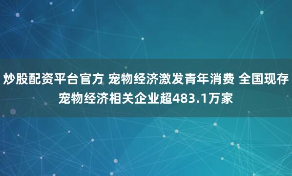炒股配资平台官方 宠物经济激发青年消费 全国现存宠物经济相关企业超483.1万家